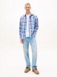 Multi Regular Fit Check Poplin Shirt  Men