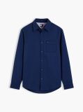 Blue Regular Fit Brushed Flannel Shirt  Men