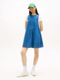 Denim Chambray Sleeveless Mini A-Line Dress  Women