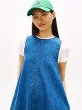 Denim Chambray Sleeveless Mini A-Line Dress  Women