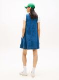 Denim Chambray Sleeveless Mini A-Line Dress  Women
