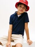 Blue Regular Fit Wavy Flag Polo Shirt  Boys