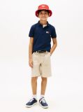 Blue Regular Fit Wavy Flag Polo Shirt  Boys