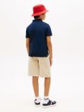 Blue Regular Fit Wavy Flag Polo Shirt  Boys