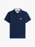 Blue Regular Fit Wavy Flag Polo Shirt  Boys