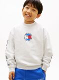 Grey Smiley Flag Back Logo Terry Sweatshirt  Boys