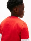 Red Wavy Flag Jersey Crew Neck T-Shirt  Boys