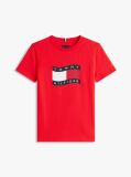 Red Wavy Flag Jersey Crew Neck T-Shirt  Boys