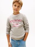 Grey Faded Logo Print Crew Neck Sweatshirt  Boys
