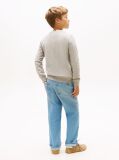 Grey Faded Logo Print Crew Neck Sweatshirt  Boys