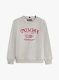 Grey Faded Logo Print Crew Neck Sweatshirt  Boys