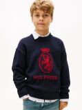 Blue TH Crest Intarsia Crew Neck Jumper  Boys