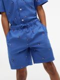 Blue Relaxed Flag Embroidery Poplin Shorts  Boys