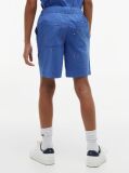 Blue Relaxed Flag Embroidery Poplin Shorts  Boys