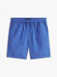 Blue Relaxed Flag Embroidery Poplin Shorts  Boys
