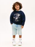 Denim Distressed Straight Leg Denim Shorts  Boys