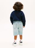 Denim Distressed Straight Leg Denim Shorts  Boys