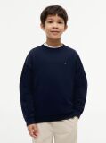 Blue Flag Embroidery Exaggerated Seam Jumper  Boys