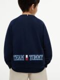 Blue Flag Embroidery Exaggerated Seam Jumper  Boys