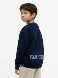 Blue Flag Embroidery Exaggerated Seam Jumper  Boys