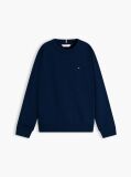 Blue Flag Embroidery Exaggerated Seam Jumper  Boys