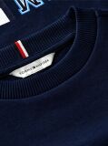 Blue Flag Embroidery Exaggerated Seam Jumper  Boys