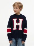 Blue Logo Graphic Jumper  Boys