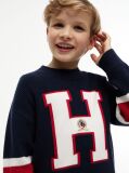 Blue Logo Graphic Jumper  Boys