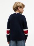 Blue Logo Graphic Jumper  Boys