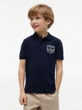 Blue Regular Fit Outline Flag Pique Polo Shirt  Boys