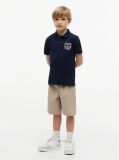 Blue Regular Fit Outline Flag Pique Polo Shirt  Boys