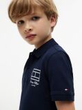 Blue Regular Fit Outline Flag Pique Polo Shirt  Boys