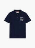 Blue Regular Fit Outline Flag Pique Polo Shirt  Boys
