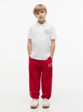 White Regular Fit Outline Flag Pique Polo Shirt  Boys