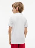 White Regular Fit Outline Flag Pique Polo Shirt  Boys