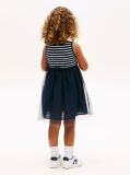 Multi Tulle Sleeveless Fit And Flare Dress  Girls