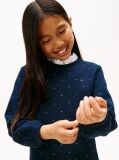 Blue Festive Stud Relaxed Fleece Skater Dress  Girls