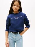 Blue Hanorac cu logo esențial  Kids Unisex