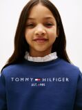 Blue Hanorac cu logo esențial  Kids Unisex