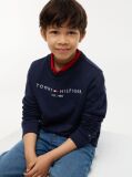 Blue Hanorac cu logo esențial  Kids Unisex