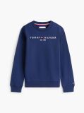 Blue Hanorac cu logo esențial  Kids Unisex