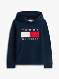 Blue Heritage Flag Badge Terry Hoody  Kids Unisex