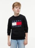 Black Heritage Flag Logo Crew Neck Jumper  Kids Unisex