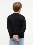 Black Heritage Flag Logo Crew Neck Jumper  Kids Unisex