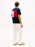 Blue Flag Embroidery Jersey Relaxed T-Shirt  Men