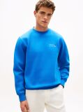 Blue Logo Embroidery Terry Sweatshirt  Men