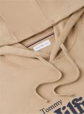 Beige Logo French Terry Hoody  Men