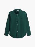 Green Regular Fit Herringbone Flannel Button-Down Shirt  Men