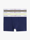 Multi 3-Pack Logo Waistband Trunks  Boys