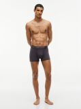 Multi 3-Pack Signature Logo Microfibre Trunks  Men